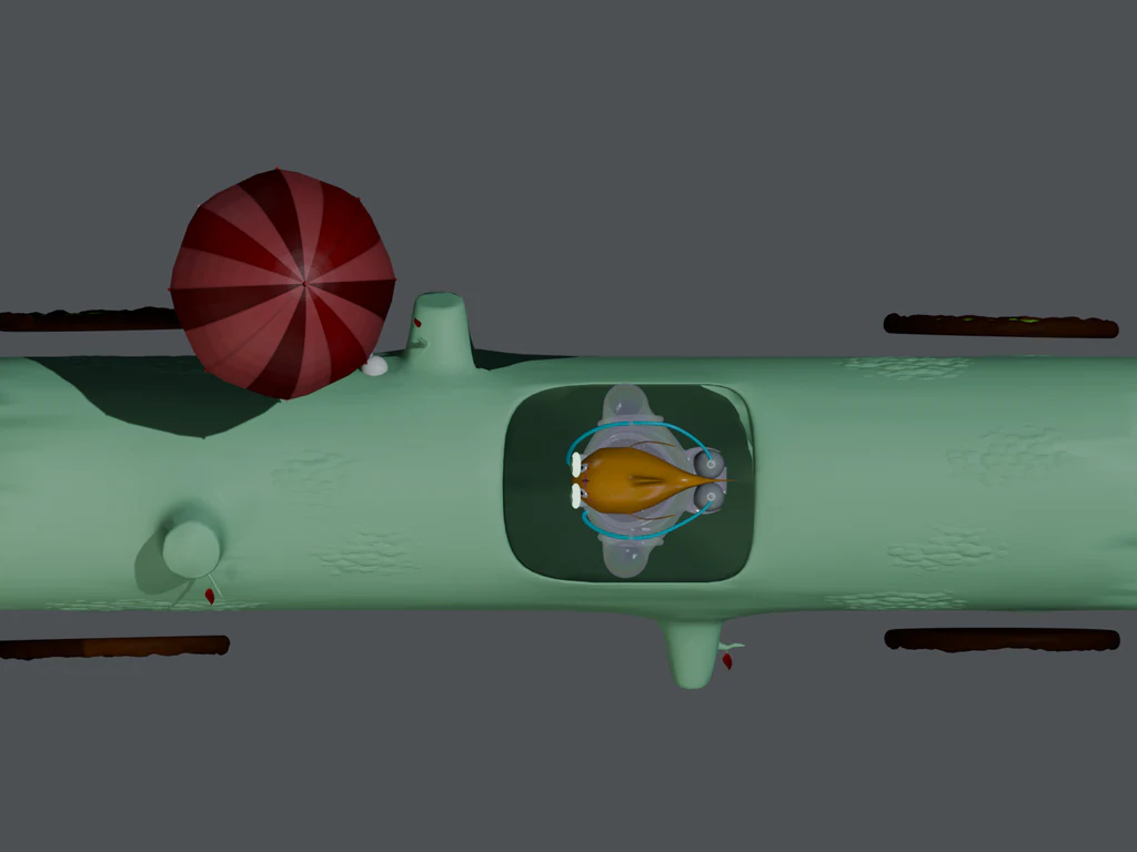 00-BOZ-25 — Top detail