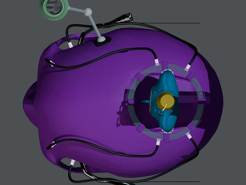 WHU 4370 — Top detail